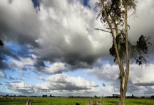 开云体育下载-摩洛哥瓦赫达球迷现场助威，球队斗志昂扬