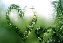 开云体育平台APP-西悉尼流浪者多点开花，备战进攻火力爆发