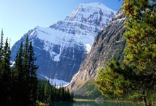 开云体育平台APP-西悉尼流浪者多点开花，备战进攻火力爆发