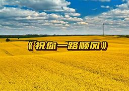 开云体育平台APP-包含阿尔帕查青年豪取连胜，一路顺风的词条