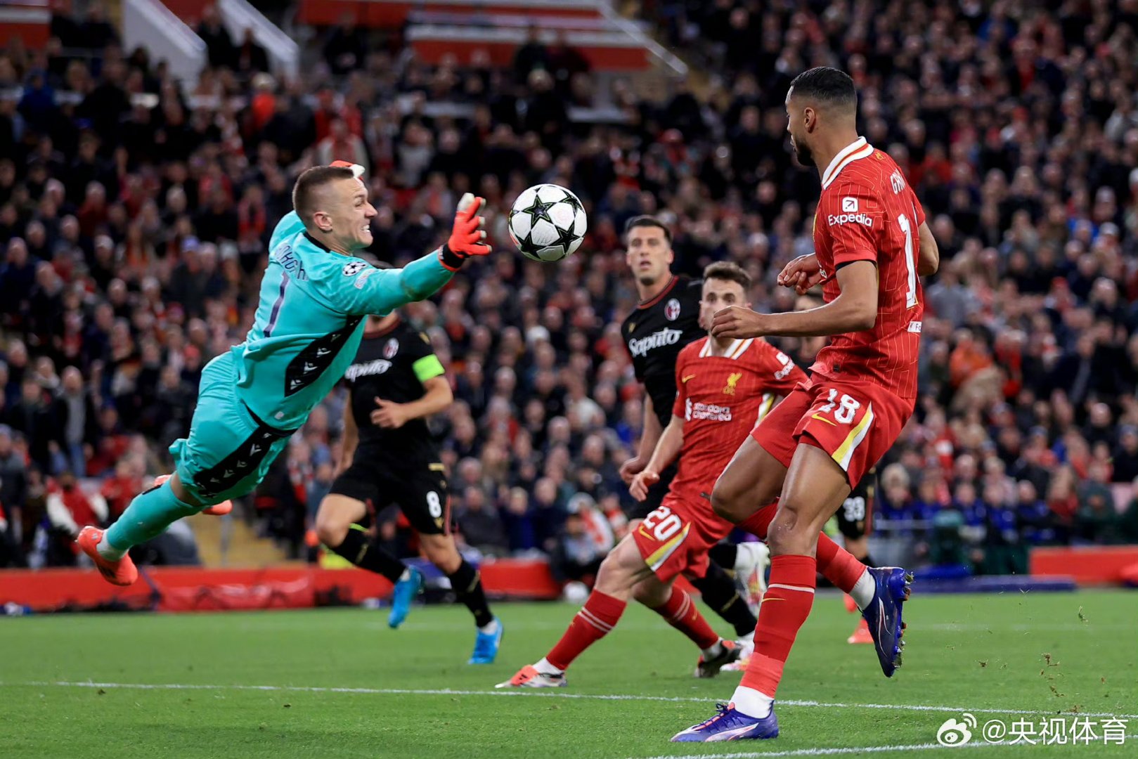 开云官网-关于德国连胜丹麦，勒夫尔森传射的信息