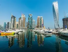 阿联酋一战成名夺冠梦终于触手可及的简单介绍 阿联酋一战成名夺冠梦终于触手可及的简单介绍