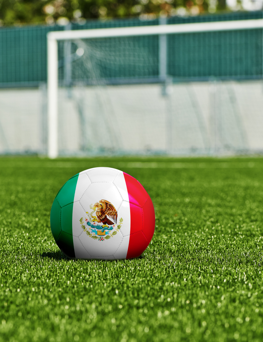 开云体育入口-波尔多球员在比赛中尽显团队默契，赢得胜利的简单介绍