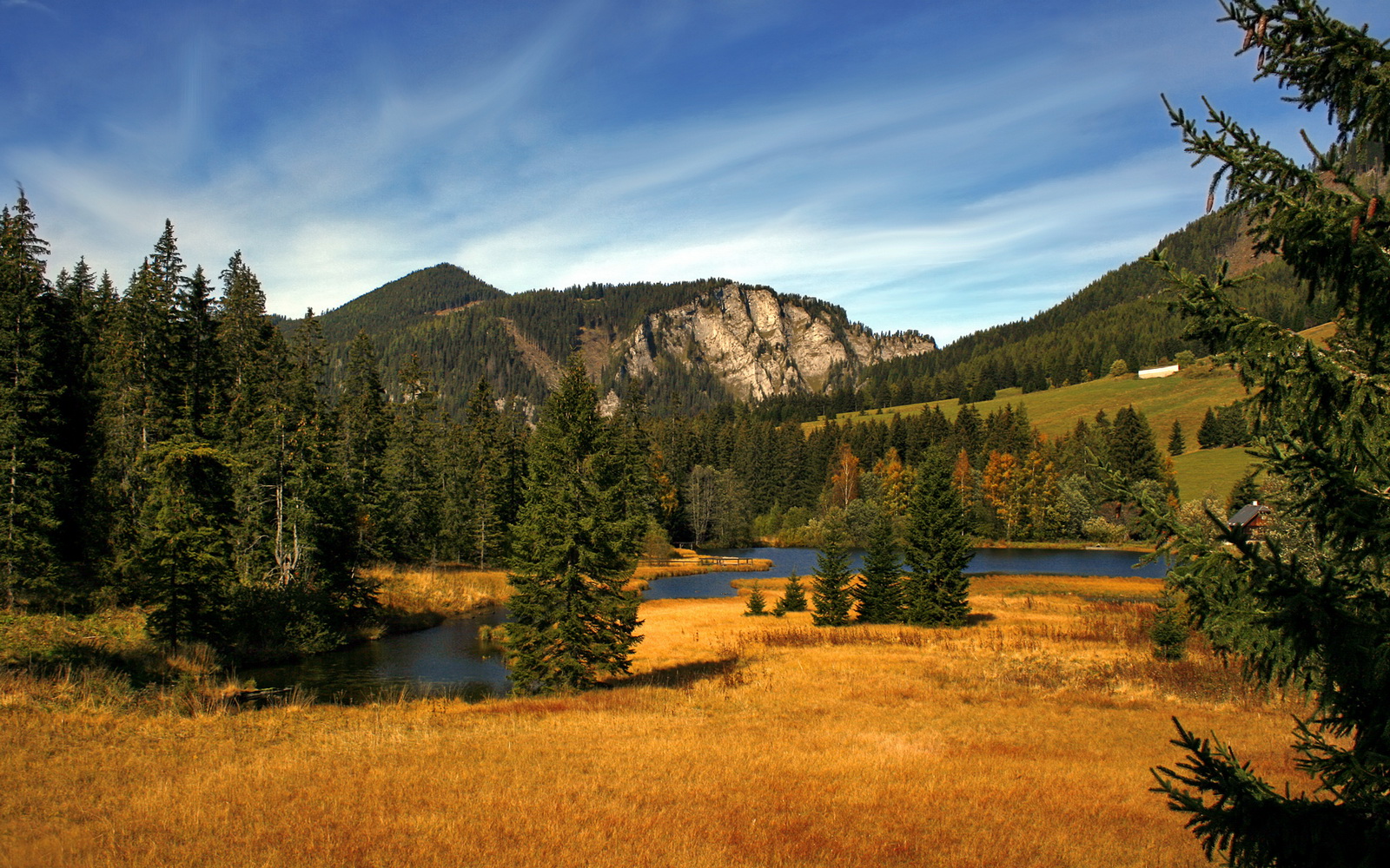 范戴克一柱擎天!利物浦精神铸就荷兰速胜瑞士关键先生