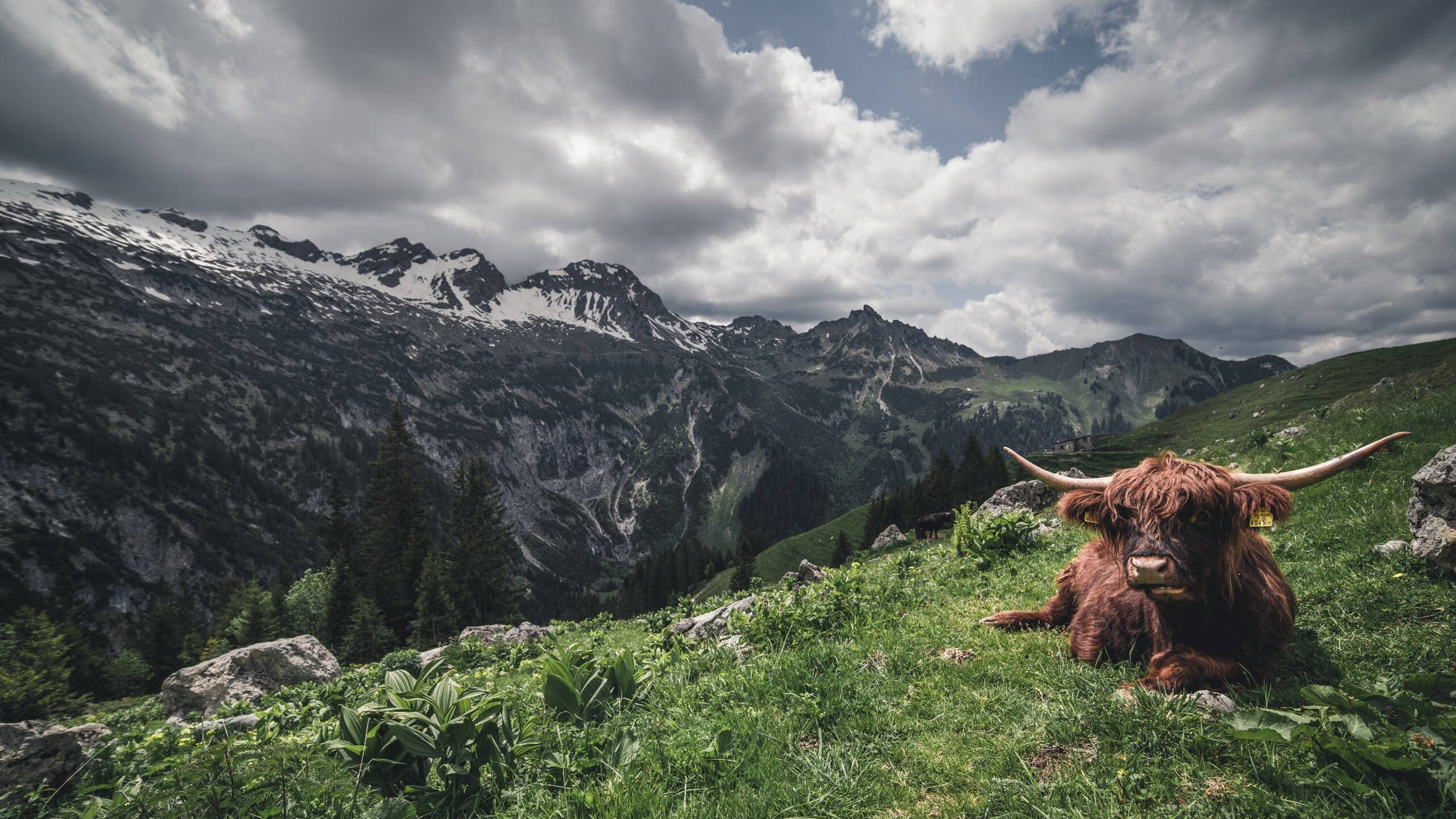 领袖的赛季,从鹈鹕晋级到保罗接管,定义胜利的终极密码
