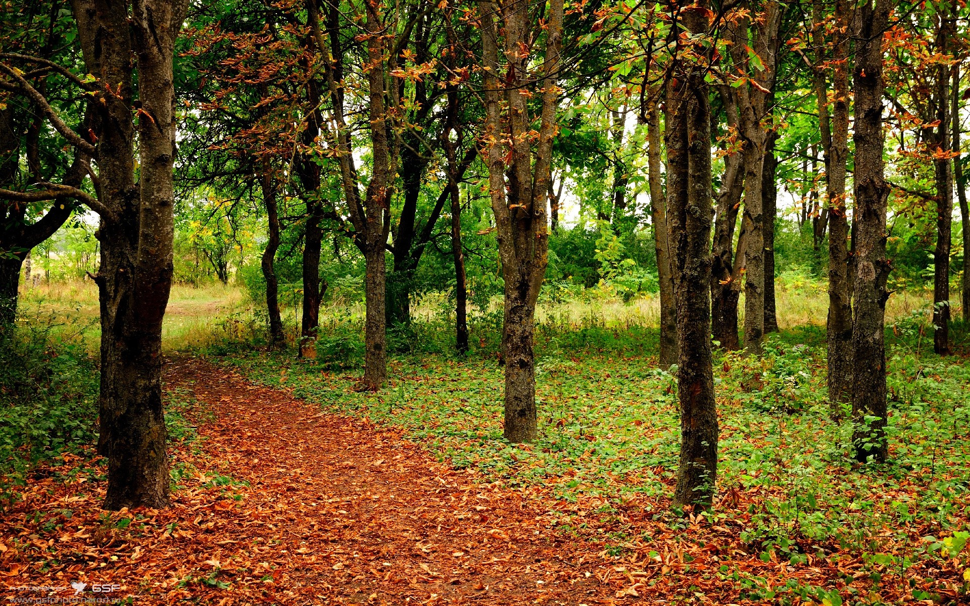 丹佛的绝杀，窒息边缘的封喉一剑
