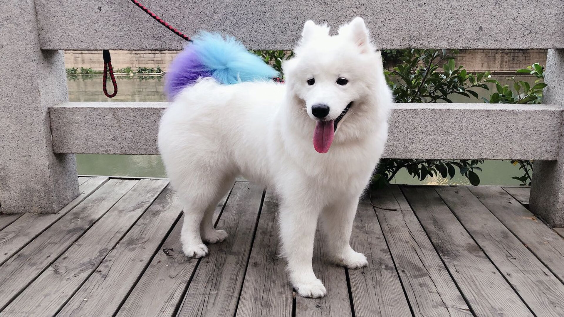 詹姆斯一手掌控比赛走势,灰熊力克活塞