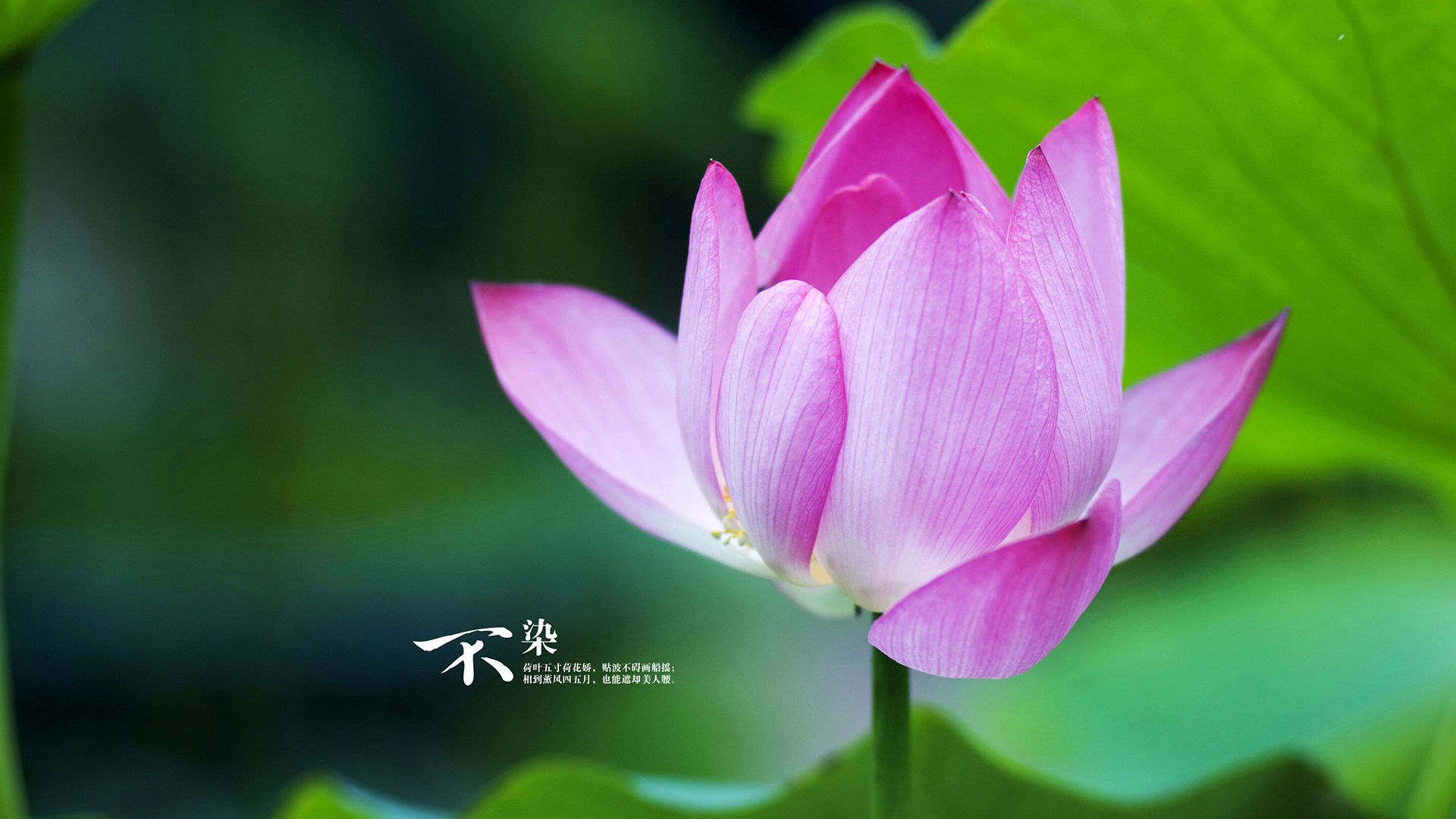 开云体育登录-当钢铁洪流遭遇灵光一闪，现代足球的两种统治力辩证法