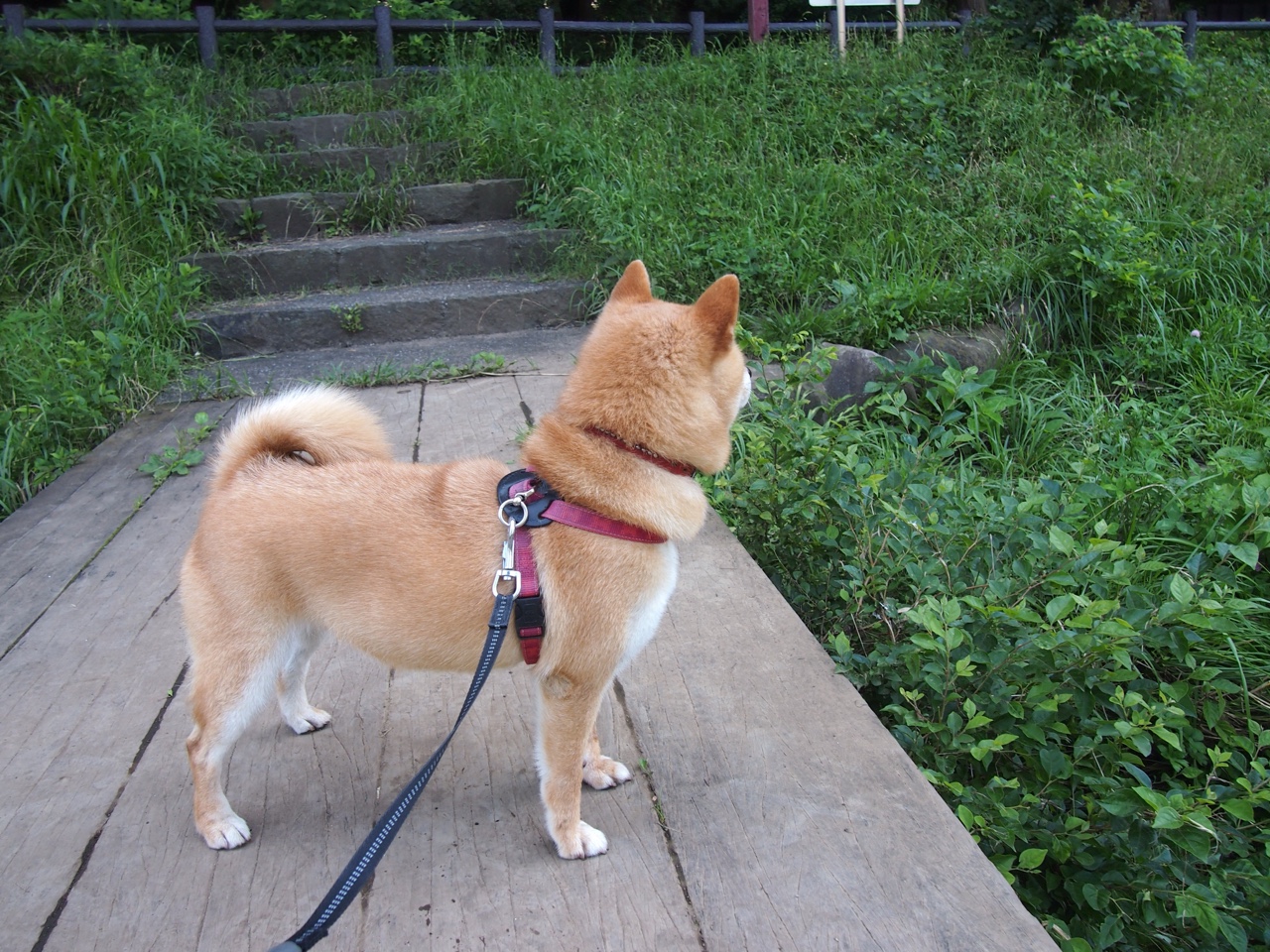 从罪人到英雄,卡瓦哈尔救赎之战,尤文险胜安哥拉晋级