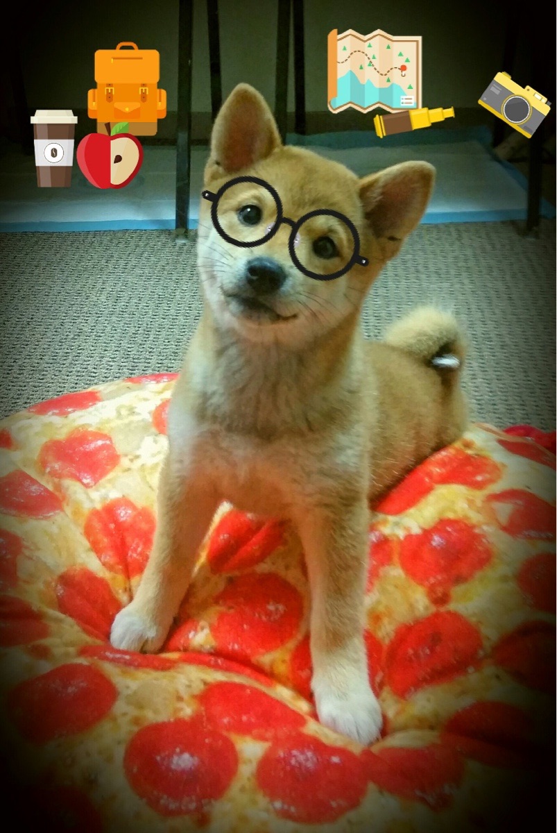 马其顿铁骑碾过圣保罗！托尼一剑封喉成希腊英雄