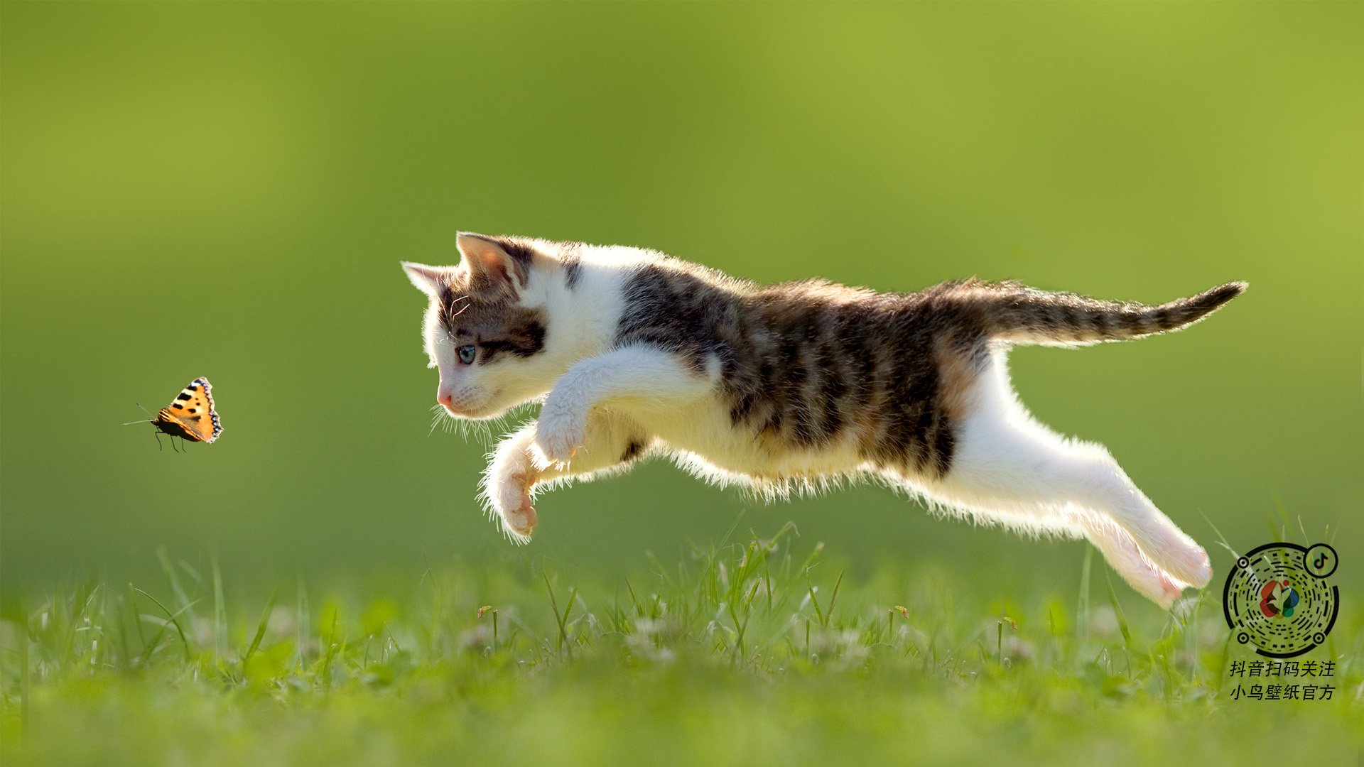 开云体育下载-篮网轻取吉林队,锡安狂砍40+统治攻防