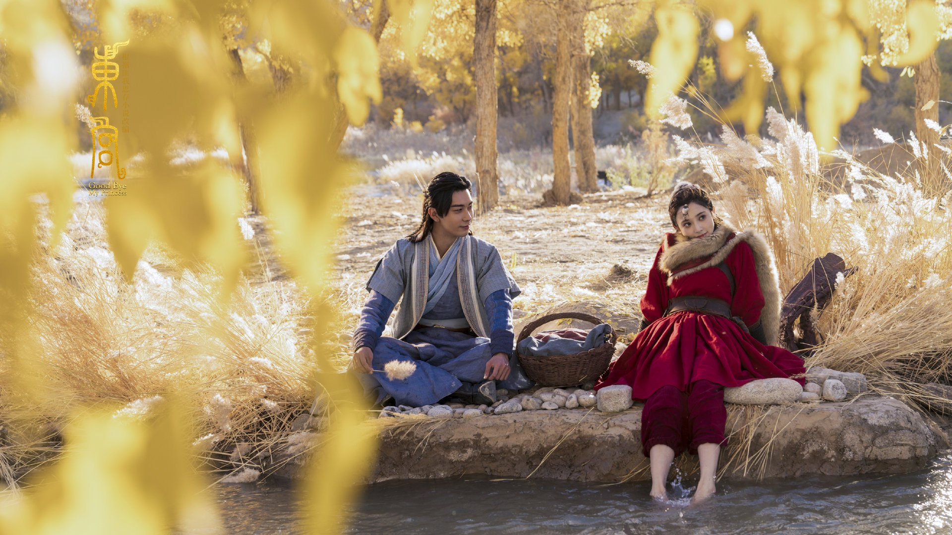 魔术险胜森林狼，最后24秒的钟声与武切维奇的逆袭之夜